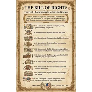 Bill of Rights Summary Poster - All 10 Amendments Explained - Laminated 11x17 - Constitutional Rights Educational Chart - Classroom