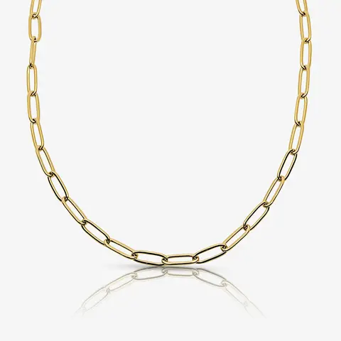 EVRY JEWELS Gold or Silver Plated Women's Waterproof Link Up Necklace