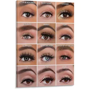 Eyelash Extension Style Poster Beauty Poster Guide Poster Canvas Wall Art Poster Print Picture Paintings for Living Room Bedroom Office Decoration, Canvas Poster Art Gift for Family Friends.12x18inch(