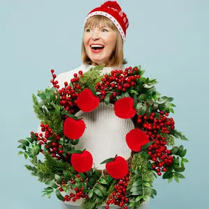 12 Christmas Apple Ornaments