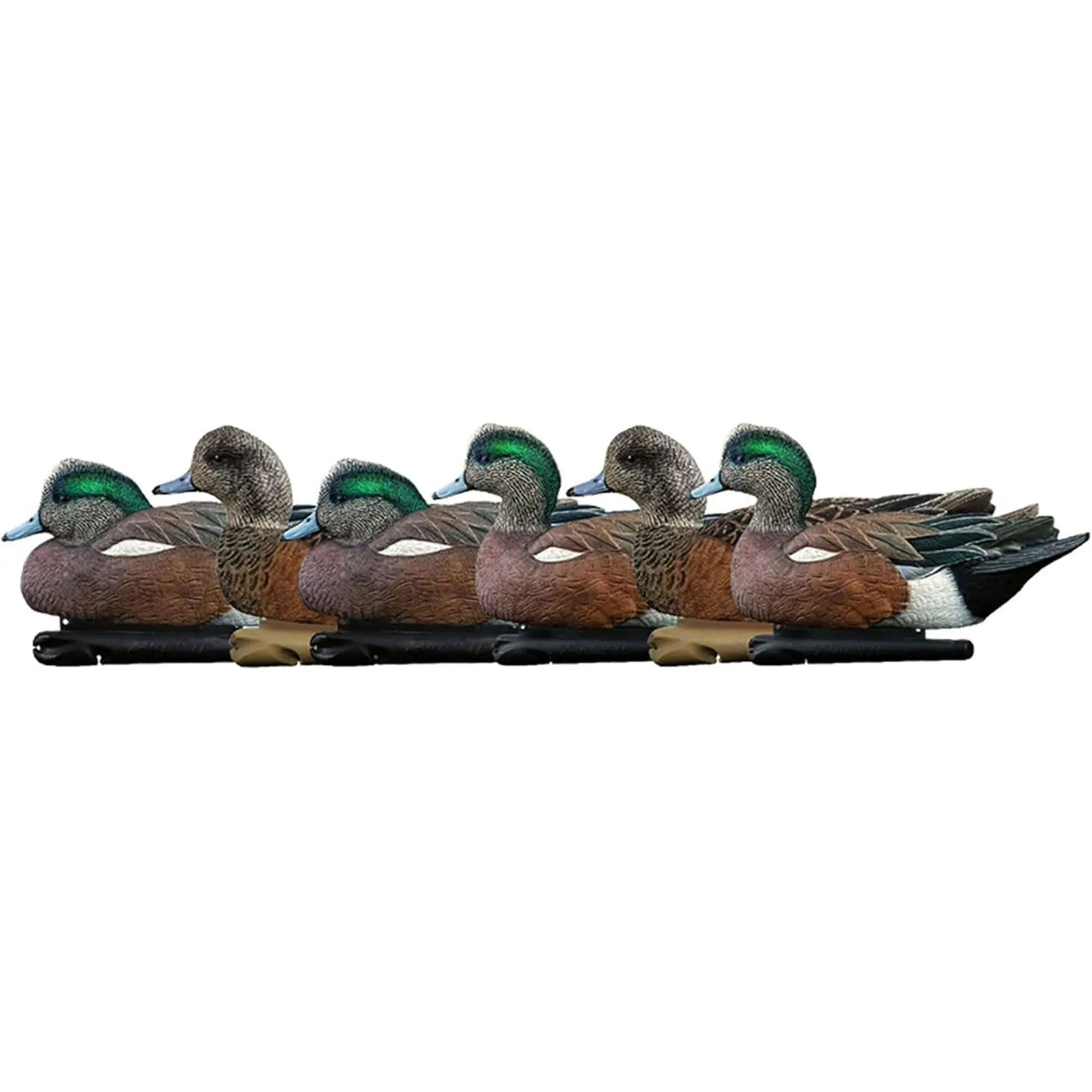 Avian X Topflight Wigeon Floating Hunting Decoys - 6 Decoys Waterfowl Gear with Lifelike Colors, Realistic Posture, Bold Projection, Ultra-Effective to Lure Birds Into Spread