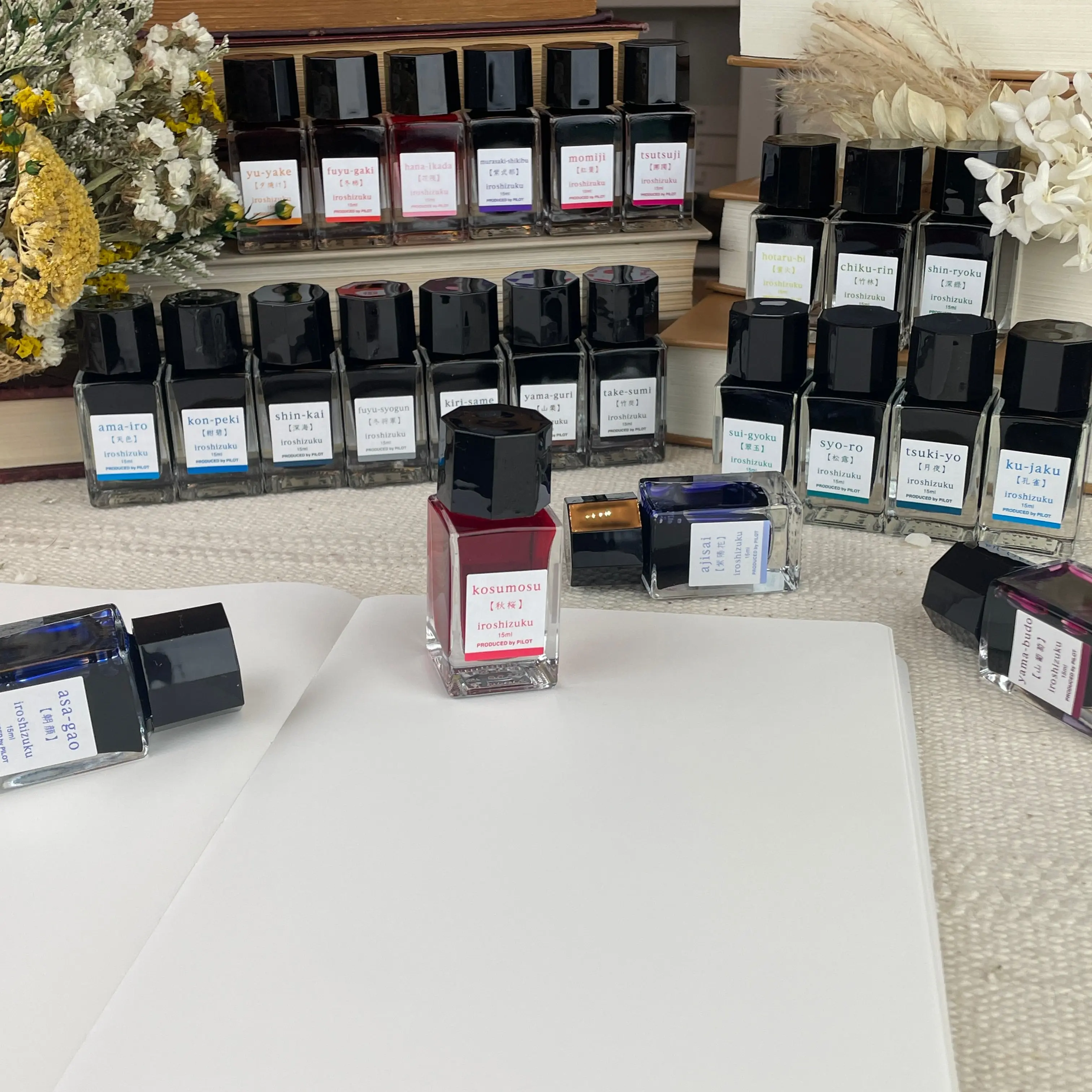 Pilot Iroshizuku Fountain Pen Ink (15ml Bottle) Pilot Iroshizuku Fountain Pen Ink (15ml Bottle)