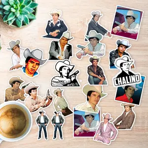 Stickers Pack 20 Pcs Chalino Vinyl Water Waterproof Skateboard Bike Guitar Car Bottle Luggage Colorful Bumper Aesthetic Laptop