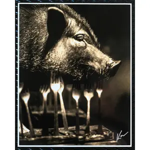TOOL UNDERTOW MOE THE PIG 11x14 EXTREMELY RARE IMAGE PRINTED ON MOAB METALLIC GALLERY PRINT SIGNED BY DEAN KARR
