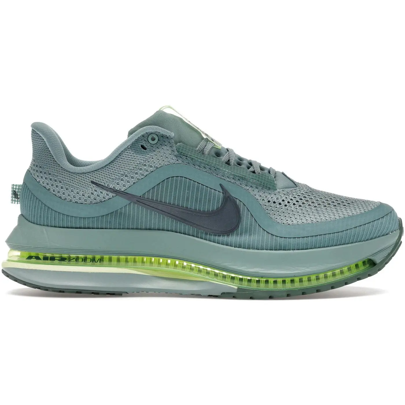 Nike Air Zoom Pegasus Premium Cannon (HQ2592-009)