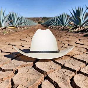 Sombrero Estilo Sinaloa Tombstone 5000x Falda 3 1/2