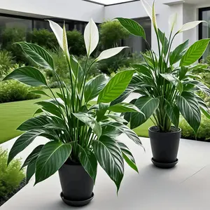 2 large outdoor artificial green plant sets. Rain-resistant design with tropical fake flowers and grass. For photography, home decor, gardens, weddings, hotels, offices. Perfect for Thanksgiving, Halloween, Christmas, seasonal themes Artificial Plants