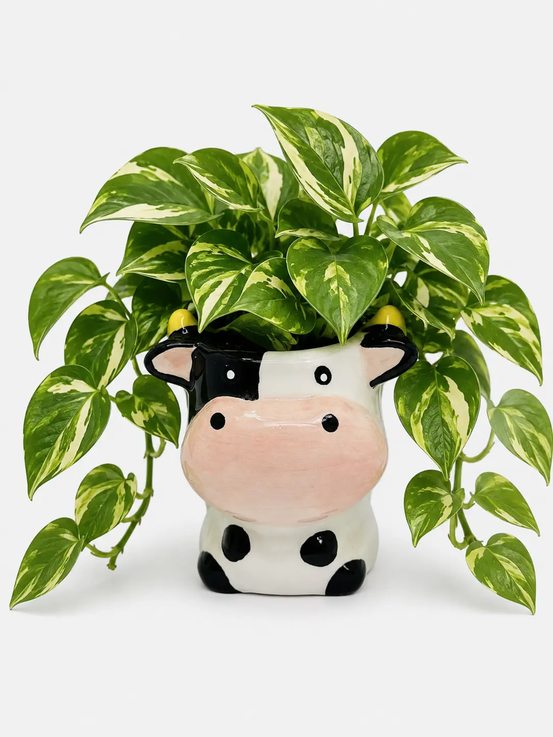 Cute Cow Ceramic Succulent Planter – 3 Inch Animal Flower Pot – Adorable Indoor Planter for Succulents, Cactus & Small Houseplants