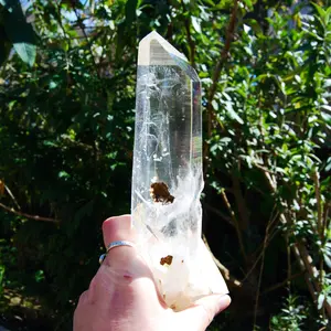 8.5in 740g XL Dow Channeler Blades of Light Lemurian Crystal, Bridge Cross Record Keeper Crystal, Colombia