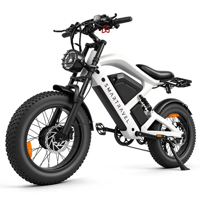 20in Fat Tire Electric Bike 3000W Peak Motor 52V for Adults 48V Offroad Ebike