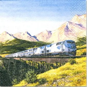 Amtrak Train Party Luncheon Napkins (16 ct)