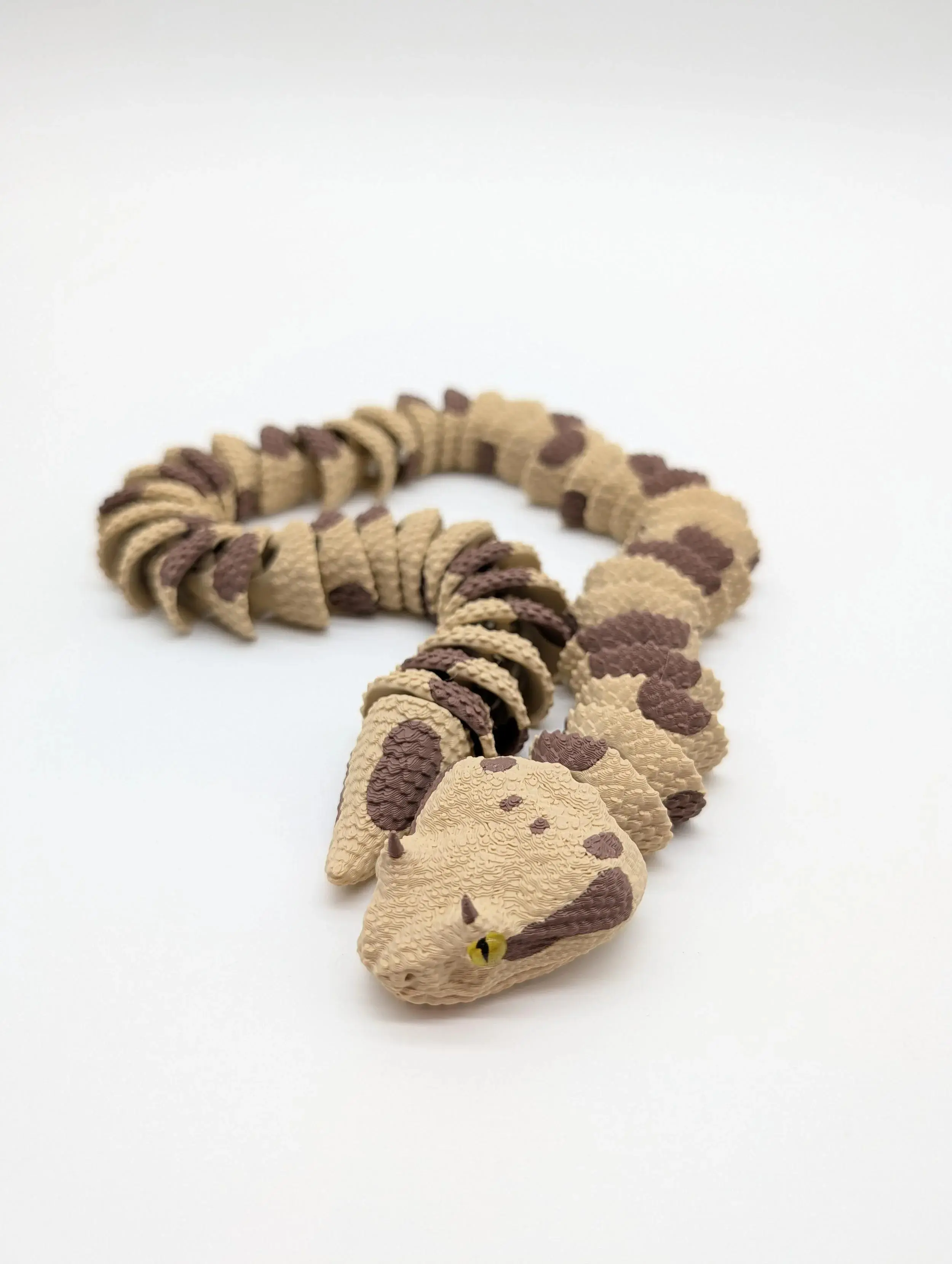 Horned Viper