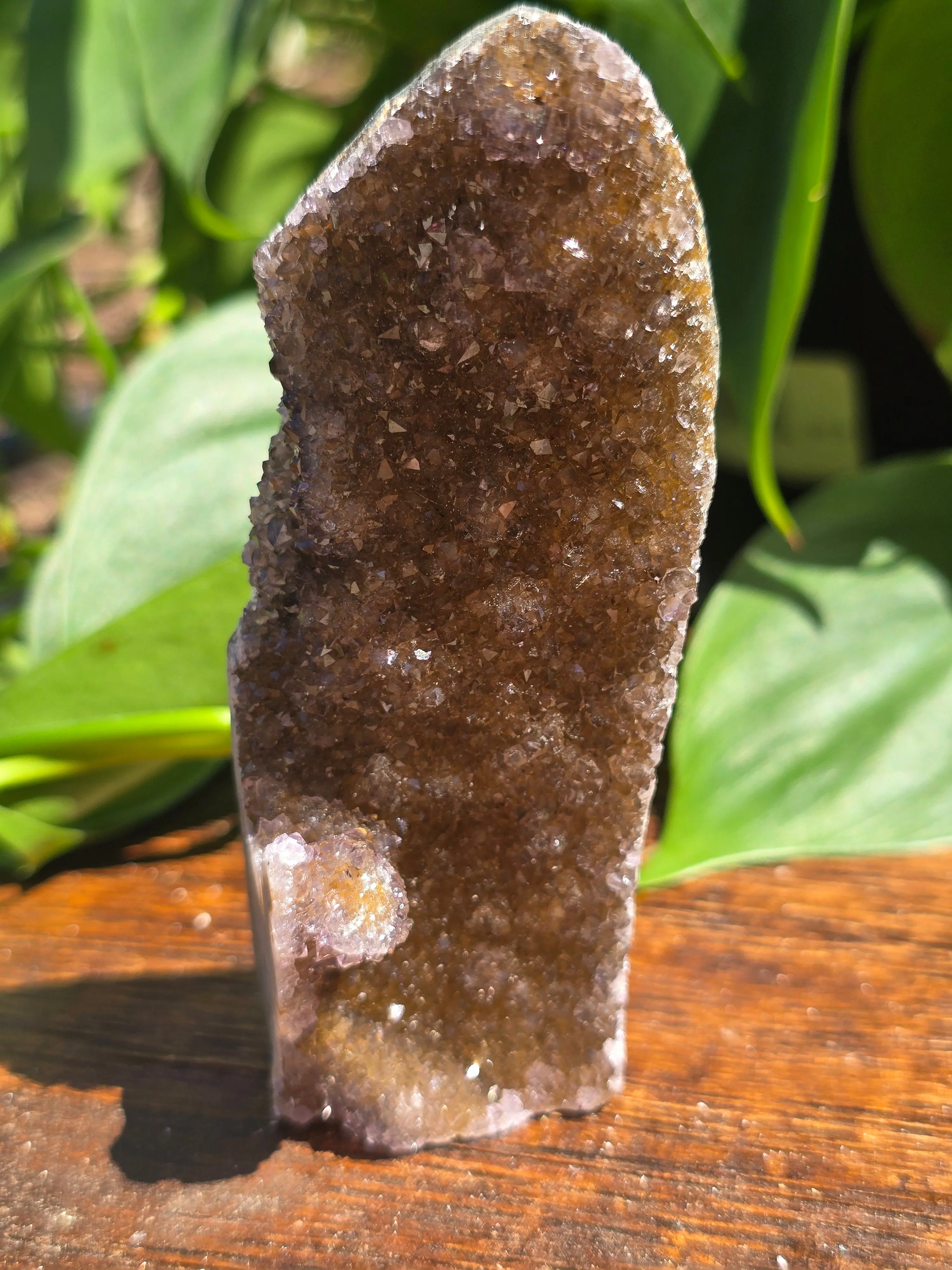 Brazilian Brown Amethyst Cluster