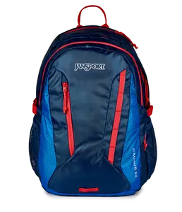 JanSport Unisex Agave Backpack