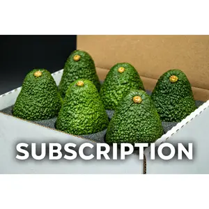 Monthly Subscription - 6 Large Avocados