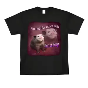 Men's Funny "I'm Not Like Other Girls I'm a Boy" Meme Graphic Tee, Humorous Casual T-Shirt
