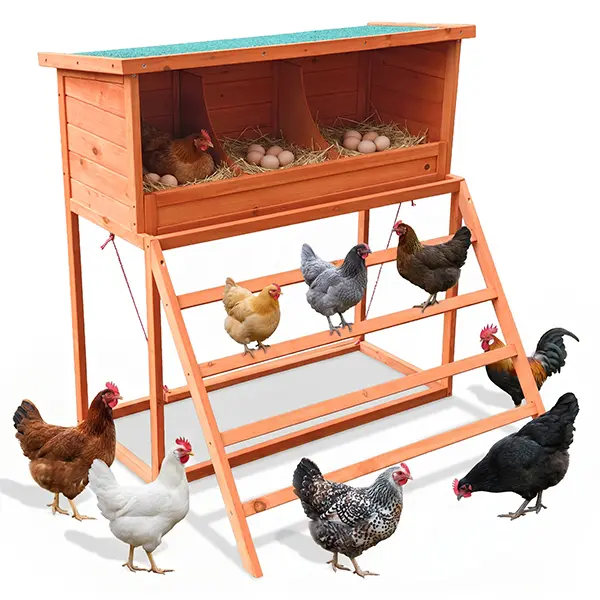 Fir Wood 3-in-1 Activity Center Chicken Nesting Box - 3 Compartments with Perch, Swing & Ladder, Asphalt Roof Weatherproof Egg Protection for Large Hens, Chickens/Ducks