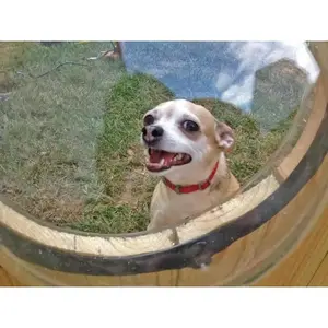 Pet Peek
