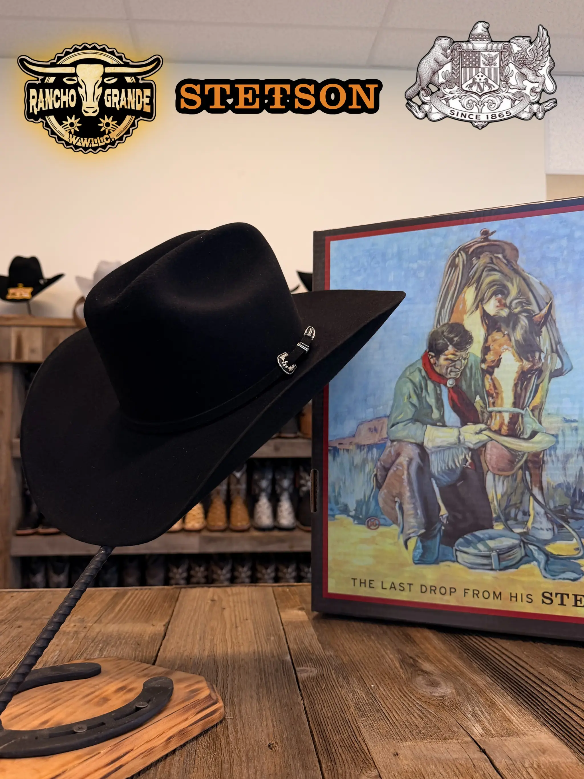 ORIGINAL 6X STETSON HAT SKYLINE / TEJANA 6X STETSON