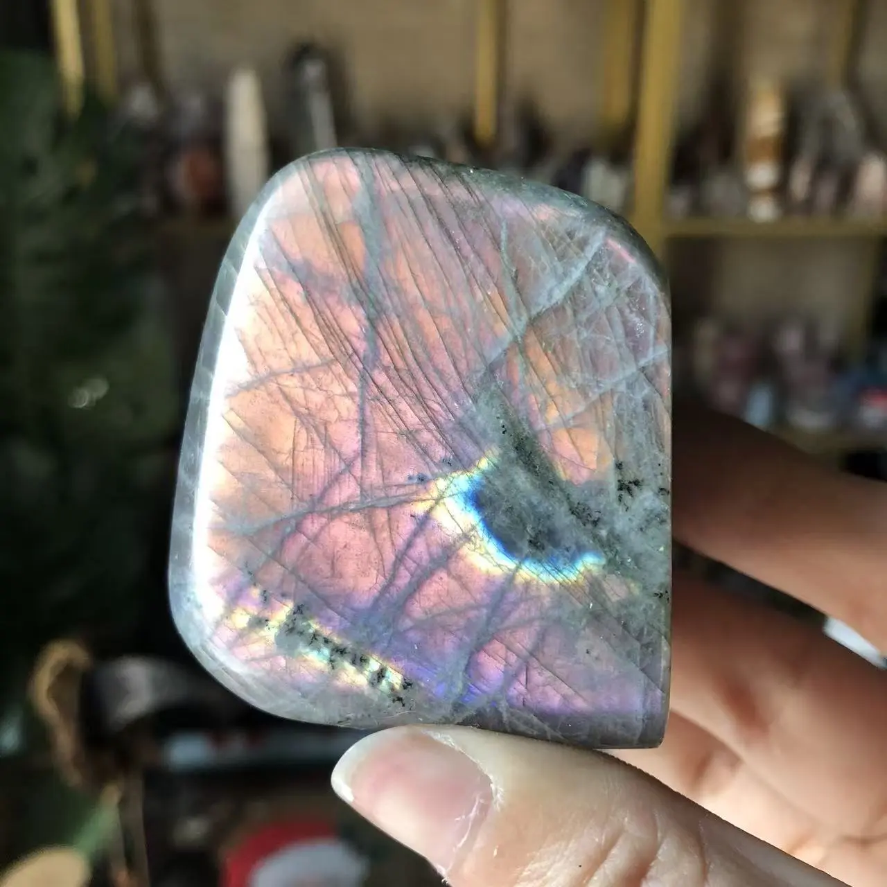Natural Crystal  Purple Flash Labradorite Free from Collection