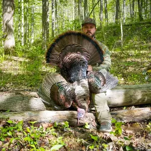 background preload poster image 