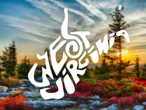 West Virginia Doodle Vinyl Decal