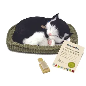 Original Black & White Kitten Perfect Petzzz