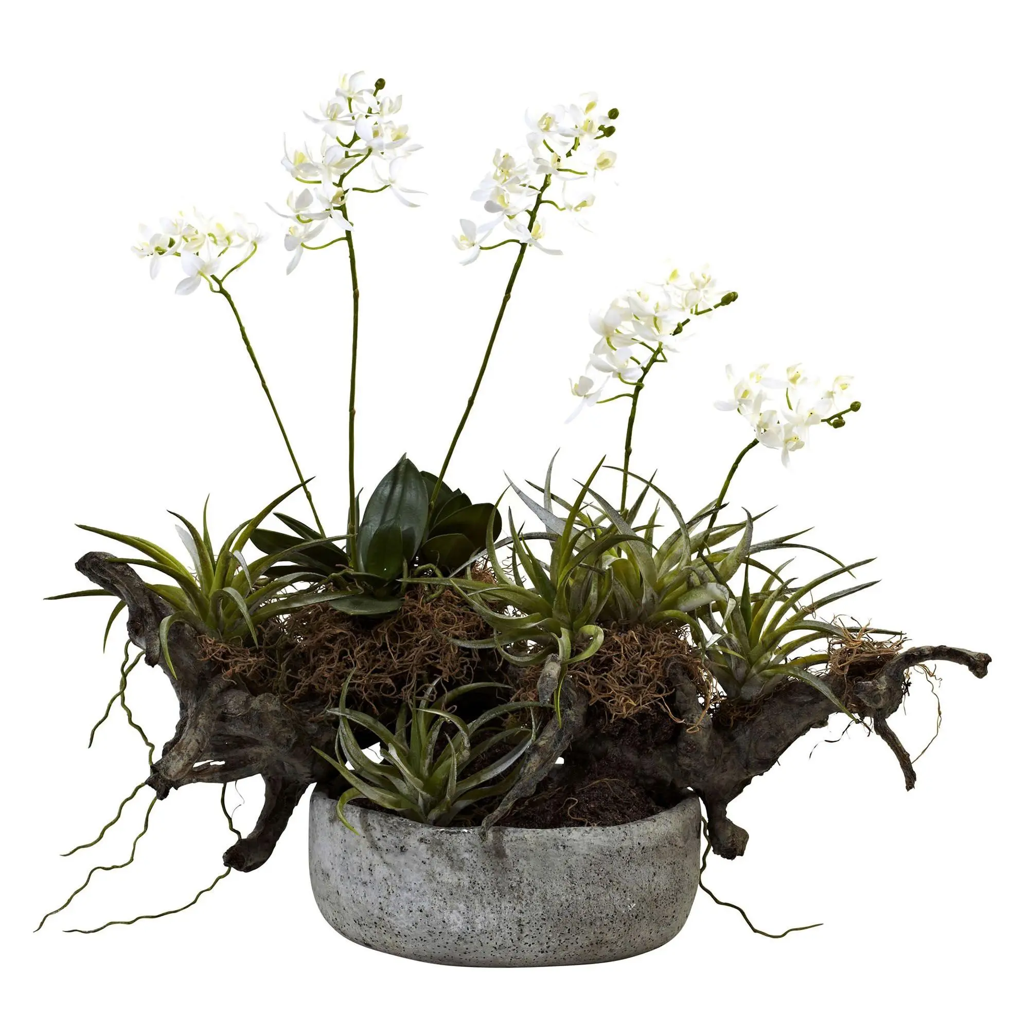 Orchid & Succulent Garden with Vase by Nearly Natural