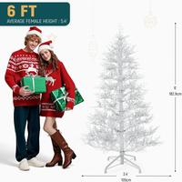 6FT