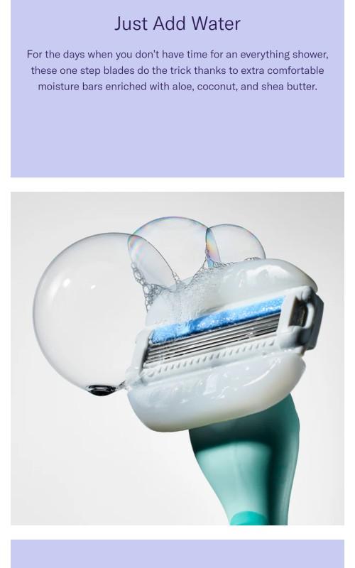 Moisture Plus Blades | No Shave Gel Needed with Aloe, Coconut & Shea Butter Flamingo Razor