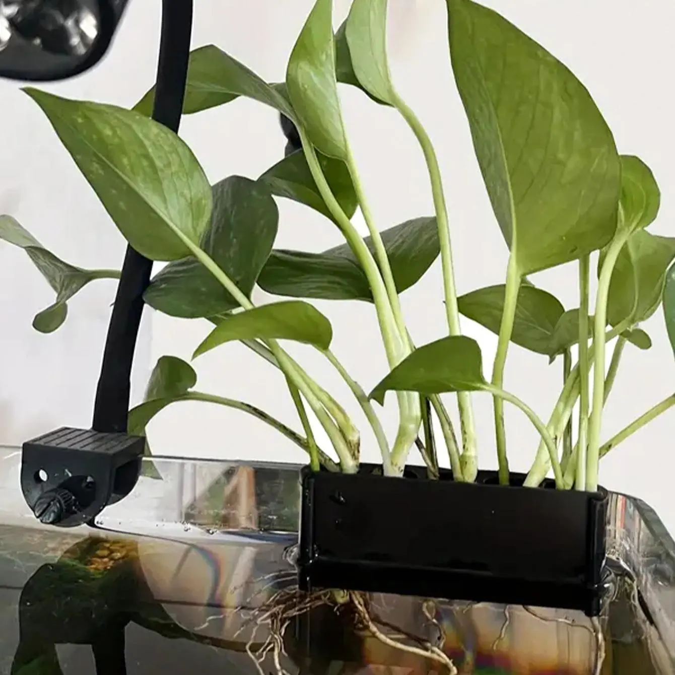 Hanging Fish Tank Plant Holder, Multi-hole Water Cultivation Plant Support, Fish Tank Plant Storage Rack, Aquarium Supplies, Aquarium Accessories, Grow