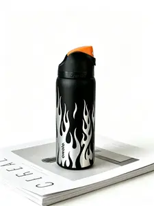 Owala 32oz Flame Insulated Non-Plastic Reusable Water Bottle - 24hr Cold Retention, Stylish Leakproof Water Bottle, Matte Finish, Washable Lid, Portable Kitchen Drinkware for Everyday Use
