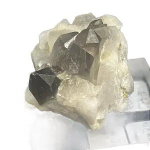 Product Listing: High-Quality Smoky Quartz Cluster on Clear Acrylic Display SKU: SQ-HQ-0002