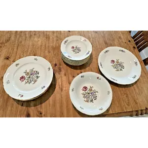 VTG Czechoslovakian Bohemian Dinning Set 1950 "Bouquet" Europa Fine Porcelain