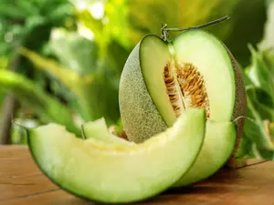 Rocky Ford Green Cantaloupe Seeds