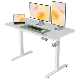 Electric Height Adjustable Standing Desk,48×24 Inches Sit Stand Up Down Computer Table,NearHub Ergonomic Memory Rising Desks for Work Office Home(White)