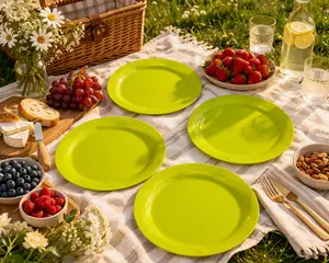 Platos grandes set 4 pz