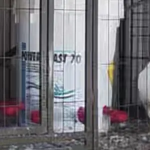 Automatic Chicken Water Dispenser, 12pcs/set Durable Self Stop Feeder, Suitable for Chicken Farms, Easy To Install, Suitable for Poultry, Ducks, and Birds