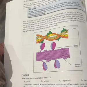 review image 3