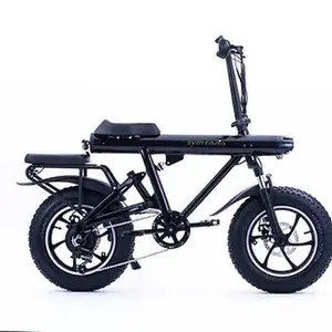 S16-S. All Terrain Dirt E-Bike with Fat Tires and Durable Frame for Off-Road Adventures