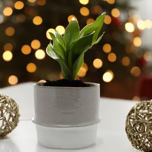 Two Toned Ceramic Cylinder Pot