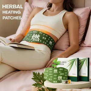 2 Pack Herbal Patch Pad Heating Patches