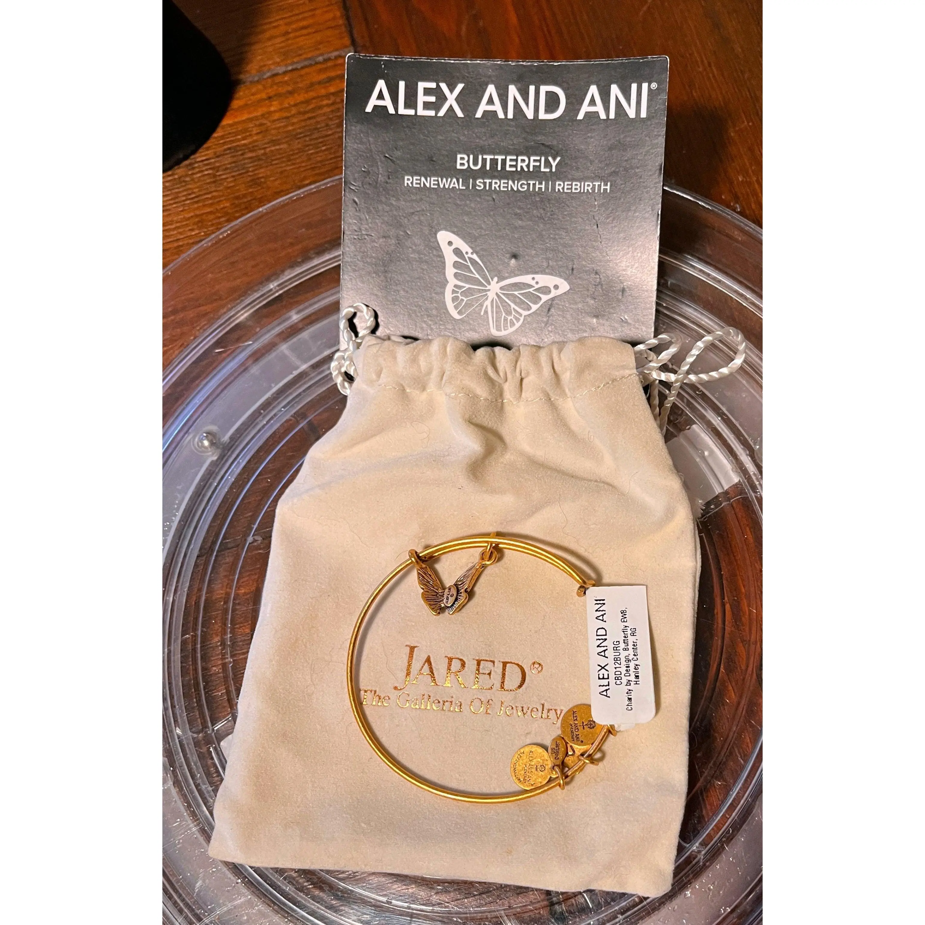 Alex & Ani Charm Bracelet