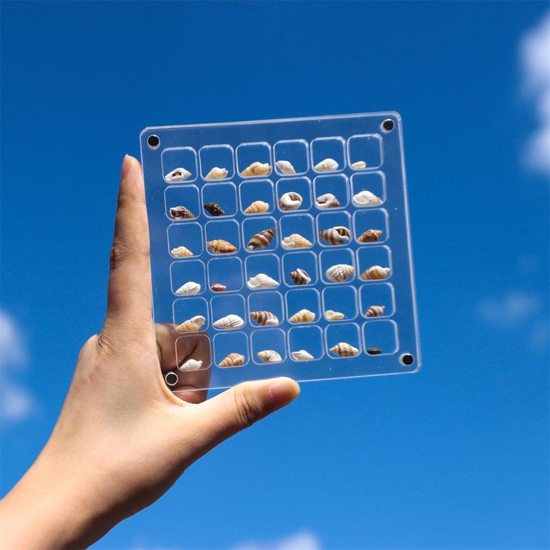 Magnetic Shell & Sea Shell Display Box, Creative Multi-grid Magnetic ...