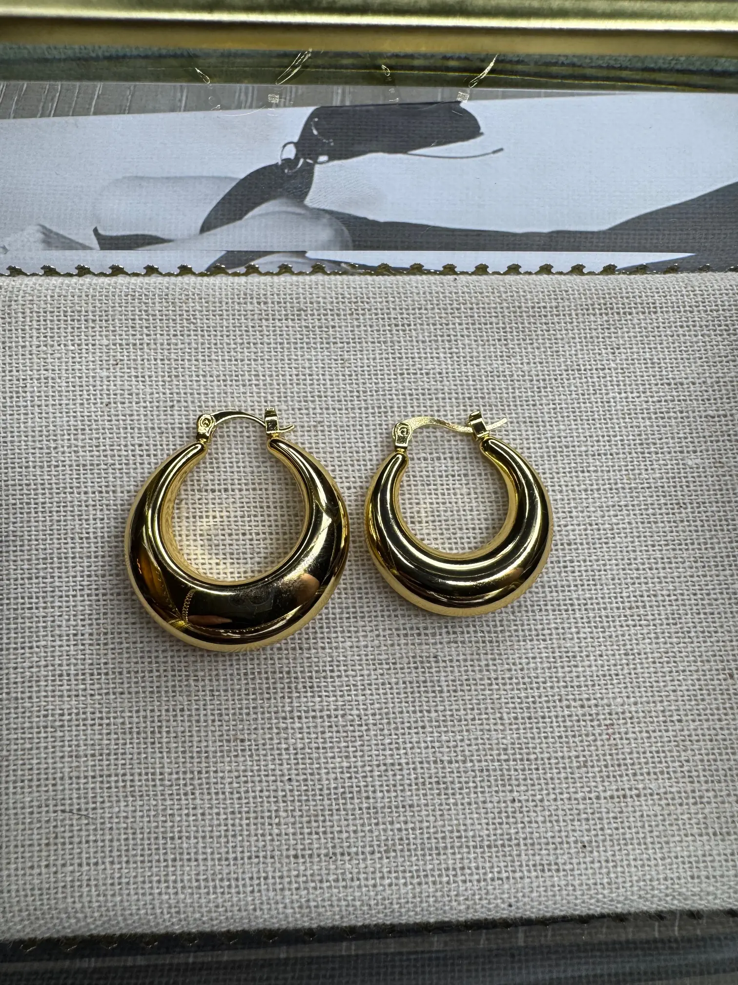 Luna Chunky Hoop Earrings - Women's Fashion Accessory