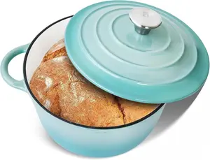 3 QT Cast Iron Dutch Oven, Enamel Coated Cookware Pot with Self Basting Lid for  Baking, Braiser, Cooking, Aqua