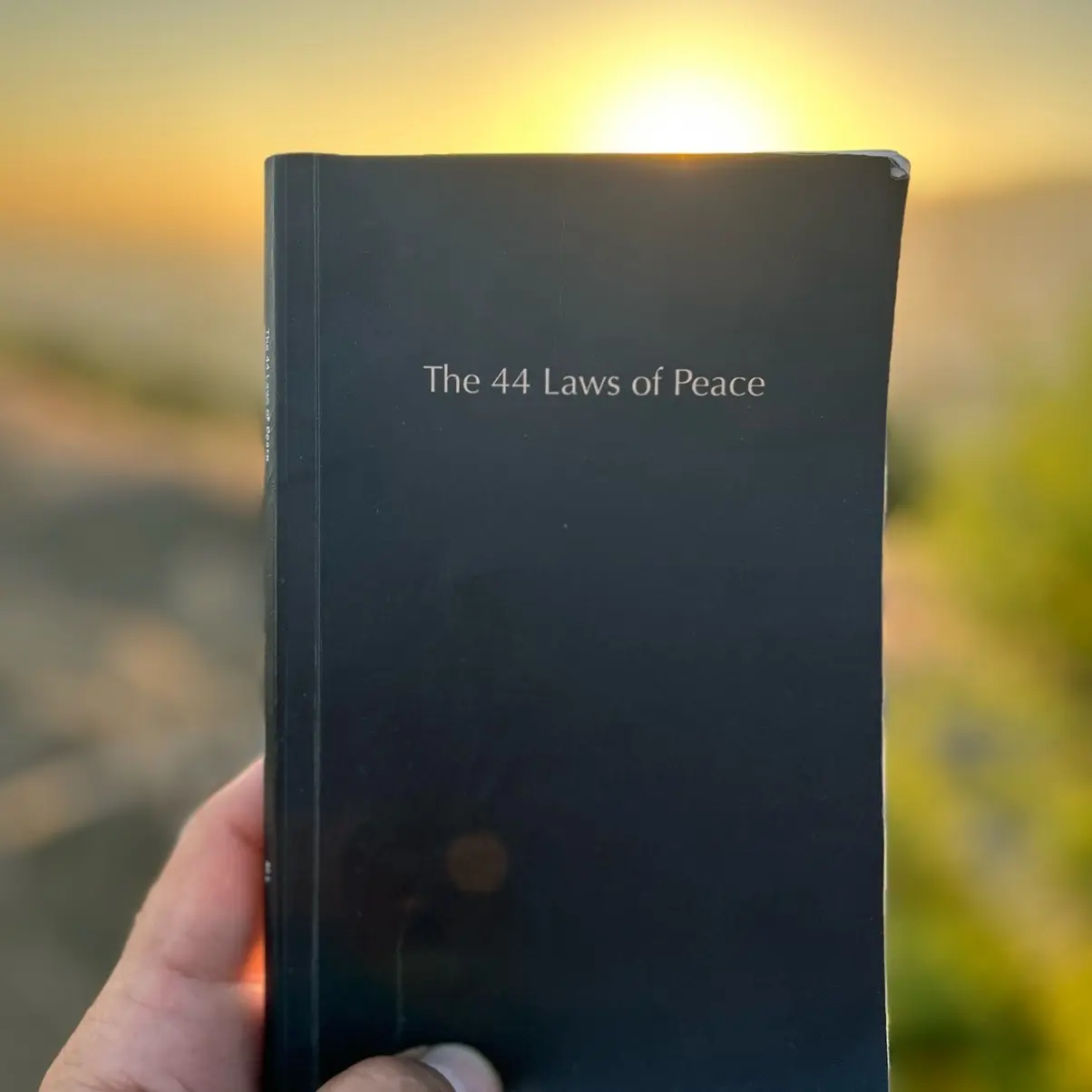 The 44 Laws of Peace