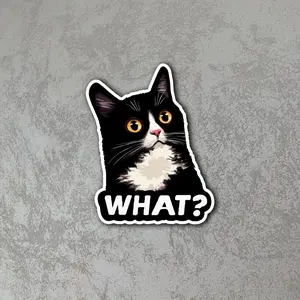 What Cat Meme Sticker Funny Black Cat Reaction Meme Vinyl Decal Waterproof Laptop Car Water Bottle Sticker