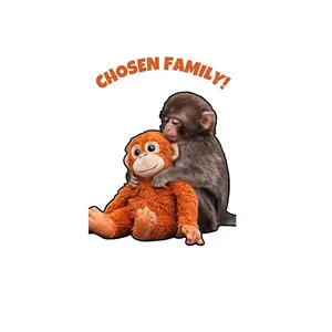 Baby Monkey with Plush Toy Kiss-Cut Stickers | Family Quote