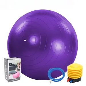 Cyrico 75cm Anti-Burst Exercise Ball with Quick Pump, Gym Grade Stability Ball for Yoga, Pilates, Pregnancy, Fitness, Balance Training & Physical Therapy